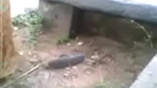 Video panas istri nakal dan kekasihnya bercinta di luar ruangan