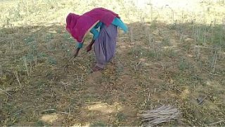 देसी इंडियन ब्वॉयफ्रेंड ने खेत में काम करते हुए उसकी मस्त चोदा