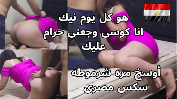 مصريه شرموطه بتصرخ من النيك على طيزها: “كل يوم تجيبلها كده يا وسخه؟ كسى وجع من ضربك!”