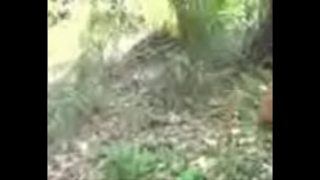 Video Panas India 3GP: Adegan Mesra yang Bikin Bergairah