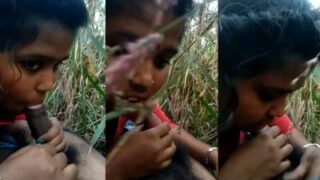 Bangla cewek desa ngentot di sawah sambil hisap kontol
